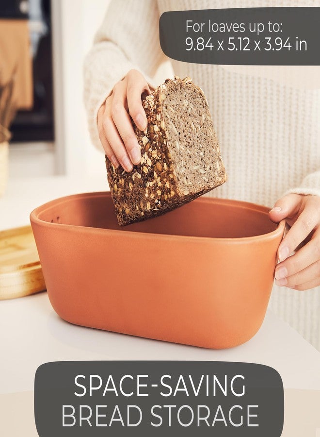 Steinzeit Bread Box Made from Breathable Terracotta (9.8x5.1x3.9 inches) - Keeps Bread Fresh Longer - Bread Box for Kitchen Countertop - Bread Storage for Homemade Sourdough Bread - Image 5